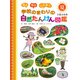 見る 知る ふれあう 学校のまわりの自然たんけん図鑑 2 夏の自然（ポプラ社） [電子書籍]
