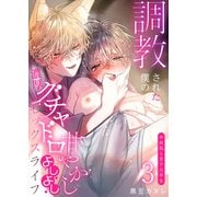 調教された僕の濃厚グチャドロ甘やかしよしよしセックスライフ～半妖狐と男子大学生～3（DLcomics） [電子書籍]