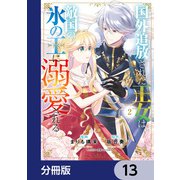 国外追放された王女は、敵国の氷の王に溺愛される【分冊版】 13（KADOKAWA） [電子書籍]