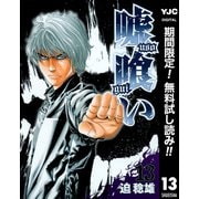 【期間限定閲覧 無料お試し版 2025年7月1日まで】嘘喰い 13（集英社） [電子書籍]