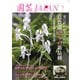 園芸Japan 2025年7月号（エスプレス・メディア出版） [電子書籍]