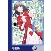 騎士団の金庫番 ～元経理ОLの私、騎士団のお財布を握ることになりました～【分冊版】 3（KADOKAWA） [電子書籍]