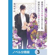 意地悪な母と姉に売られた私。何故か若頭に溺愛されてます【ノベル分冊版】 3（KADOKAWA） [電子書籍]