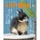 うさぎと暮らす No.96（うさぎと暮らす） [電子書籍]
