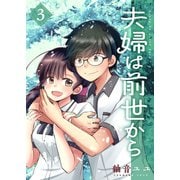 夫婦は前世から 3（ナンバーナイン） [電子書籍]