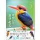 せかいのカワセミ（カンゼン） [電子書籍]