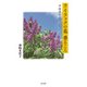 ライラックの花香るころ 中国語を生涯の友として（VOYAGER（ボイジャー）） [電子書籍]