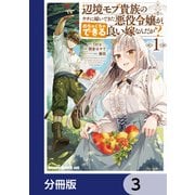 辺境モブ貴族のウチに嫁いできた悪役令嬢が、めちゃくちゃできる良い嫁なんだが？【分冊版】 3（KADOKAWA） [電子書籍]