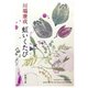 虹いくたび（新潮文庫）（新潮社） [電子書籍]