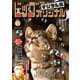 ビッグコミックオリジナル 2025年15号（2025年7月18日発売）（小学館） [電子書籍]