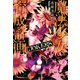 【期間限定価格 2025年8月6日まで】魔法少女育成計画JOKERS【電子版あとがき付】（宝島社） [電子書籍]