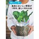 傘袋でジッパー袋で！ 最高においしい野菜が1年中、楽しく作れる本（KADOKAWA） [電子書籍]