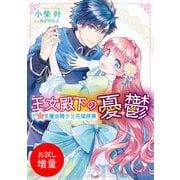 【期間限定閲覧 試し読み増量版 2025年7月31日まで】王女殿下の憂鬱 ドSな魔法騎士と花嫁修業（一迅社） [電子書籍]
