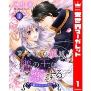 さらわれ姫は鷹の王に恋をする 銀のセレイラ 1（集英社） [電子書籍]