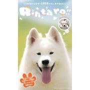【デジタル限定】りんたろう写真集「Rintaro！！」（集英社） [電子書籍]