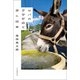 ロバのクサツネと歩く日本（河出書房新社） [電子書籍]