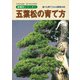 盆栽樹種別シリーズ1 五葉松の育て方（近代出版） [電子書籍]