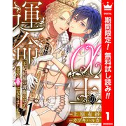 【期間限定閲覧 無料お試し版 2025年8月14日まで】α王の運命～王妃候補の護衛のはずが王の番になりました～ 1（集英社） [電子書籍]