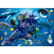 海の聲をきく -Unforgetable Encounter-（小学館） [電子書籍]