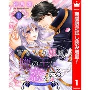 【期間限定閲覧 試し読み増量版 2025年8月19日まで】さらわれ姫は鷹の王に恋をする 銀のセレイラ 1（集英社） [電子書籍]