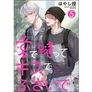 愛で縫ってキスでふさいで（分冊版） 【第5話】（海王社） [電子書籍]