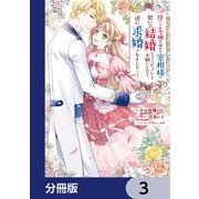 捨てられ令嬢が憧れの宰相様に勢いで結婚してくださいとお願いしたら逆に求婚されました【分冊版】 3（KADOKAWA） [電子書籍]