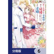 捨てられ令嬢が憧れの宰相様に勢いで結婚してくださいとお願いしたら逆に求婚されました【分冊版】 6（KADOKAWA） [電子書籍]