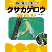 写真絵本 ぼくの庭にきた虫たち7 クサカゲロウ観察記（農山漁村文化協会） [電子書籍]
