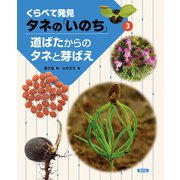 くらべて発見 タネの「いのち」 道ばたからのタネと芽ばえ（農山漁村文化協会） [電子書籍]