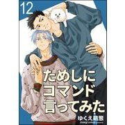 ためしにコマンド言ってみた（分冊版） 【第12話】（海王社） [電子書籍]