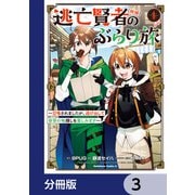 逃亡賢者（候補）のぶらり旅 ～召喚されましたが、逃げ出して安寧の地探しを楽しみます～【分冊版】 3（KADOKAWA） [電子書籍]