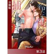 冷たい視線に捕らわれて<新装版>【分冊版3】（アイデジタル パブリッシング） [電子書籍]