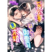 一夜の夢のつもりが、箱入り御曹司が重すぎる求婚をしてきます（くるみ舎） [電子書籍]