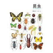 昆虫（福音館書店） [電子書籍]