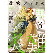 後宮メイドの災難～人使いの荒い宮廷書記官と推理する～【電子単行本版】（3）（CLLENN） [電子書籍]