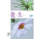 いけ花龍生 10月号（龍生華道会） [電子書籍]