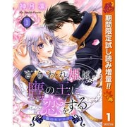 【期間限定閲覧 試し読み増量版 2025年10月7日まで】さらわれ姫は鷹の王に恋をする 銀のセレイラ 1（集英社） [電子書籍]