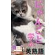 にゃんこと学ぶ英熟語（クロスフォリオ出版） [電子書籍]