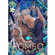 DragoStarPlayer ROMEO 12（ジュネット） [電子書籍]