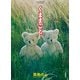 【期間限定価格 2025年10月28日まで】くままごと（4）（徳間書店） [電子書籍]