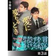 憎しみが愛に変わるとき<特別版>分冊版3（アイデジタル パブリッシング） [電子書籍]