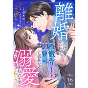 離婚したはずなのに、冷徹エリート御曹司に容赦なく溺愛されています16（ファンギルド） [電子書籍]