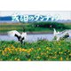 或る日のタンチョウ（文芸社） [電子書籍]