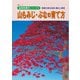 盆栽樹種別シリーズ6 山もみじ・ぶなの育て方（近代出版） [電子書籍]