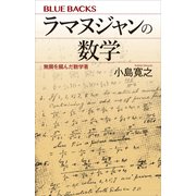 ラマヌジャンの数学 無限を掴んだ数学者（講談社） [電子書籍]