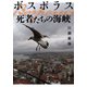 ボスポラス 死者たちの海峡（早川書房） [電子書籍]