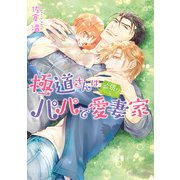 角川ルビー文庫