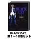 BLACK CAT 1巻～12巻セット (集英社文庫) [文庫]