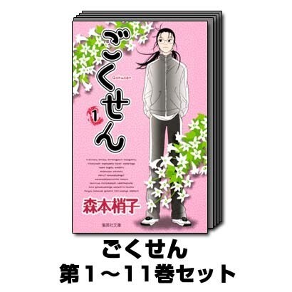 ごくせん 1巻～11巻セット (集英社文庫) [文庫]