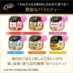 ヨドバシ.com - マース ジャパン リミテッド シーザー CE36N シーザーあじわいサーモン風味 ポテトとにんじん入り100g ドッグフード  ウェット [24個入り] 通販全品無料配達
